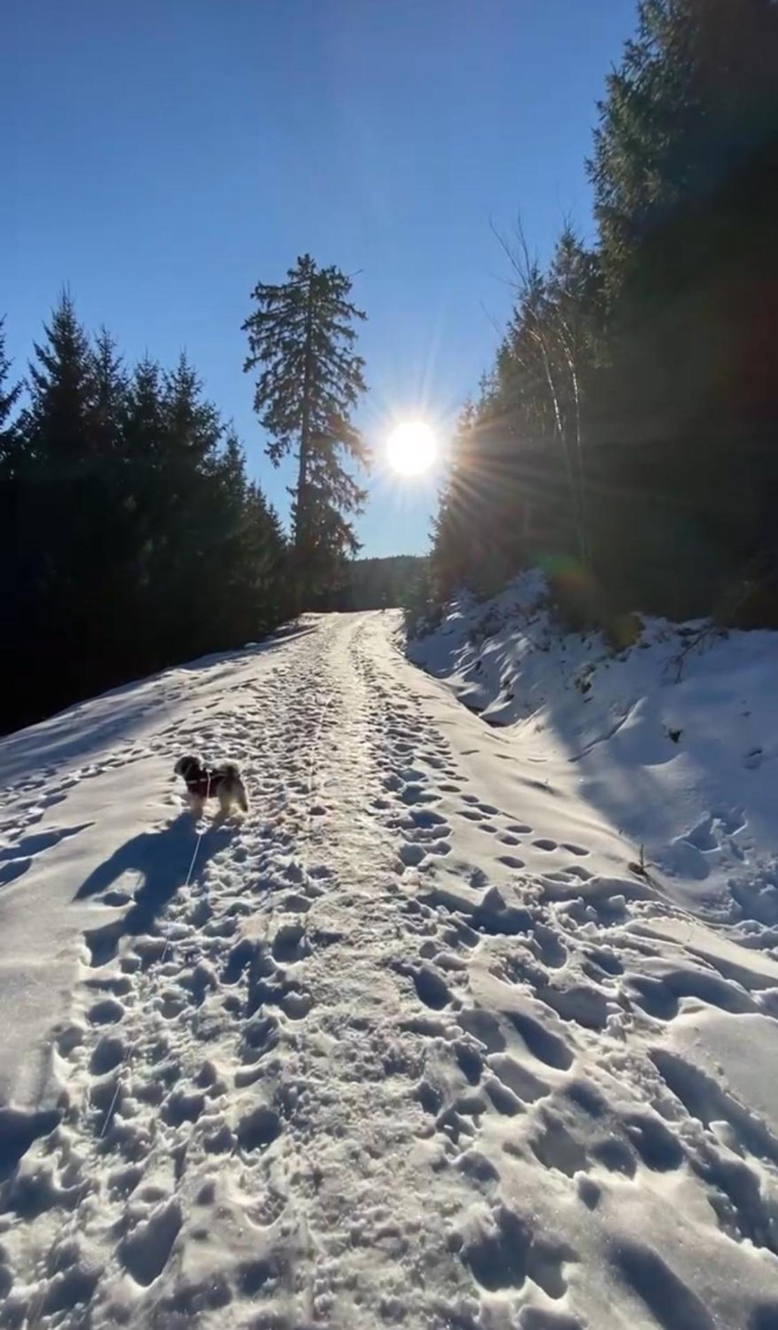 Homestay Schwarzwaldliebe Ferienzimmer Mit Bad